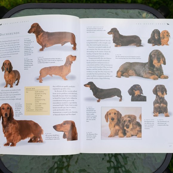Book: Dog Breeds of the World - Picture 6 of 8